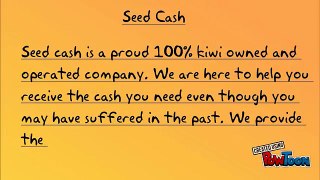 Seed Cash Offering You Small Cash Loans in NZ