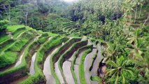 Ubud, Bali - Indonesia