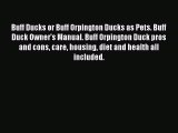 Read Buff Ducks or Buff Orpington Ducks as Pets. Buff Duck Owner's Manual. Buff Orpington Duck
