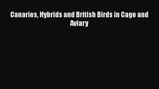 Download Canaries Hybrids and British Birds in Cage and Aviary Book Online