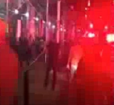 Konser salonuna silahlı saldırı... Korku dolu anlar kamerada