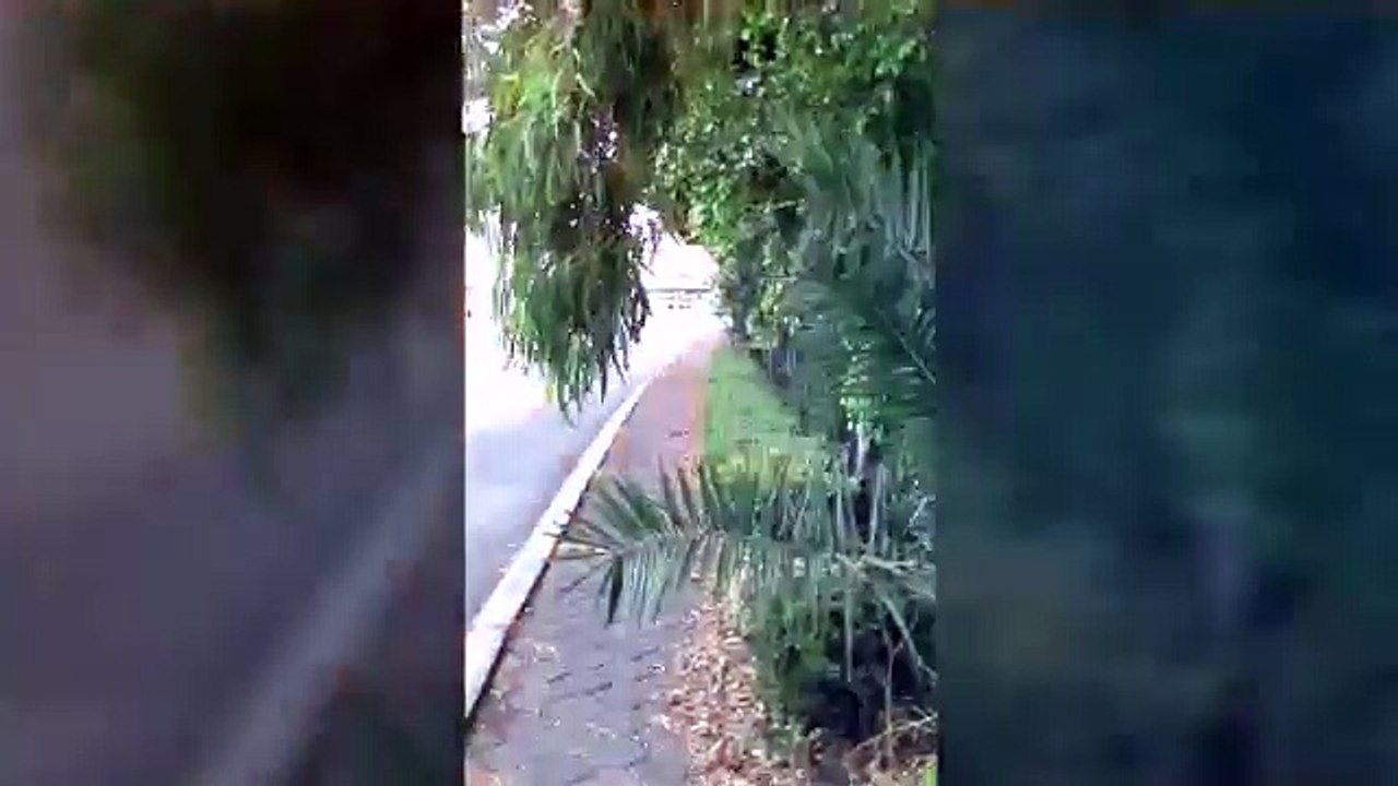 SOLOS EN AMERICA  DE MIGUEL MATEOS ' COVER VOZ JAHI EDUARDO LEROUX '