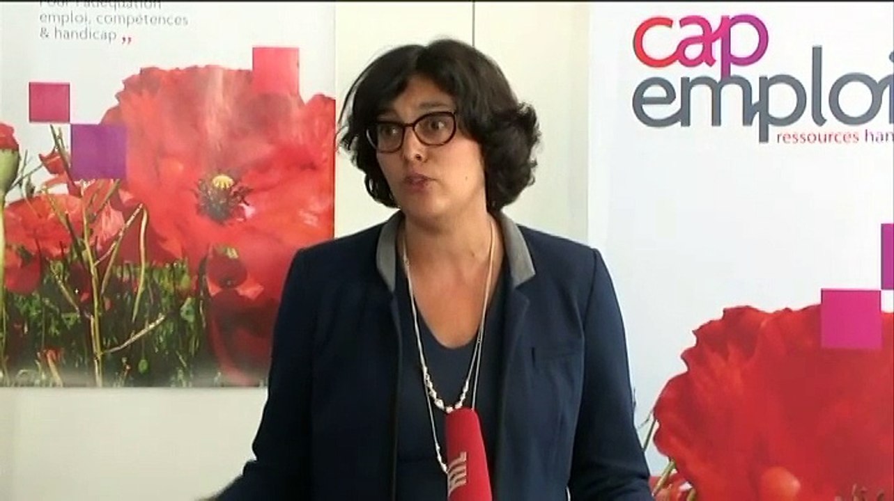 Baisse du chômage  La France va mieux et nous nous battons pour qu'elle aille bien dit El Khomri.avi