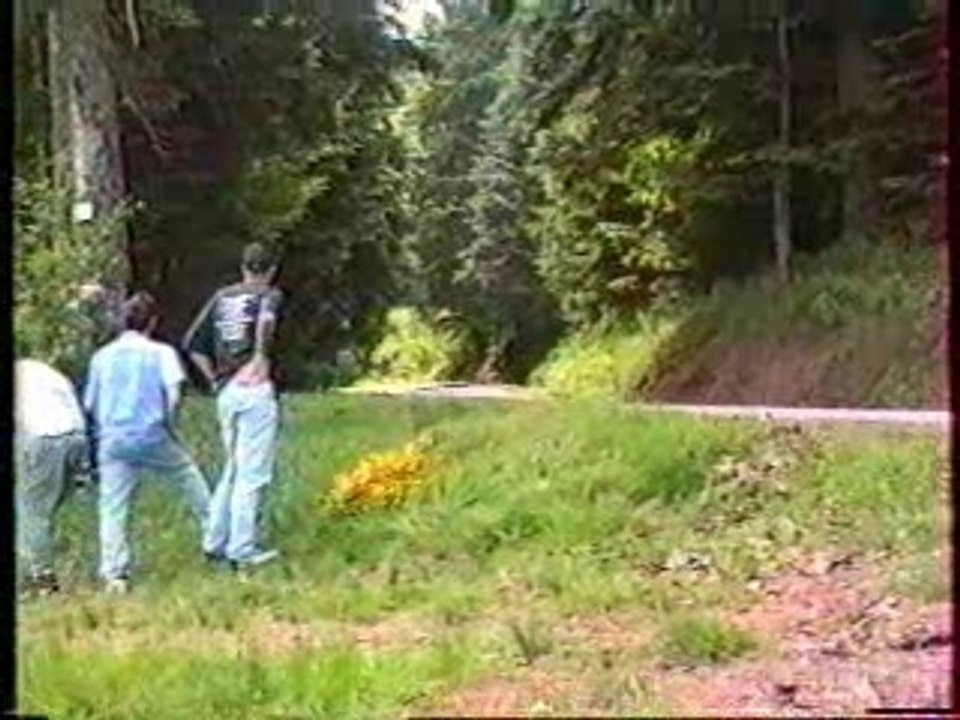 Rally Alsace-Vosges1996