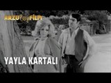 Yayla Kartalı | Yıldız Tezcan & Nuri Sesigüzel & Münir Özkul - Siyah Beyaz Filmler