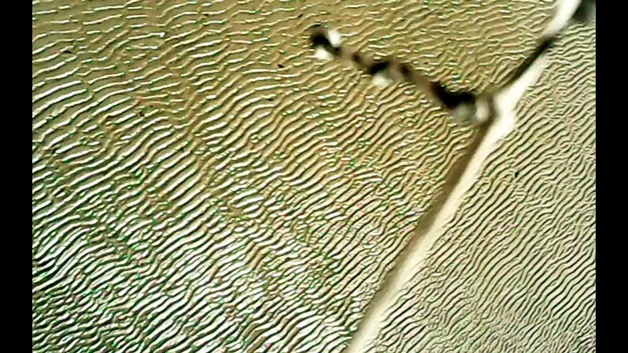 cerf-volant caméra embarquée