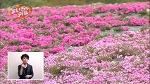 無料動画シェア - 9TSU動画  SKE48のあいちテル 5月22日
