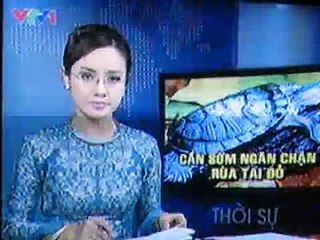 Phóng sự ngày 22-12-2010 về rùa tai đỏ tại hồ Hoàn Kiếm