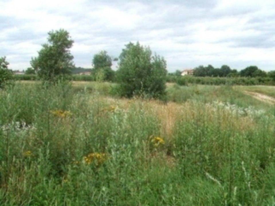 mon fils  en pocket!