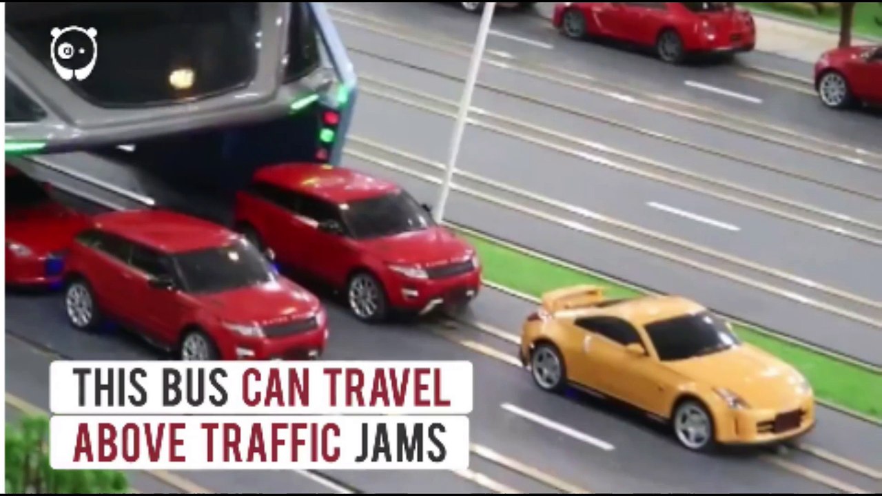 amazing bus