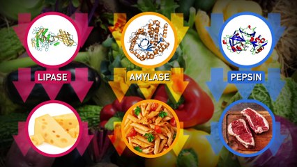 Que se passe-t-il dans votre corps lorsque vous avalez un chewing-gum ?