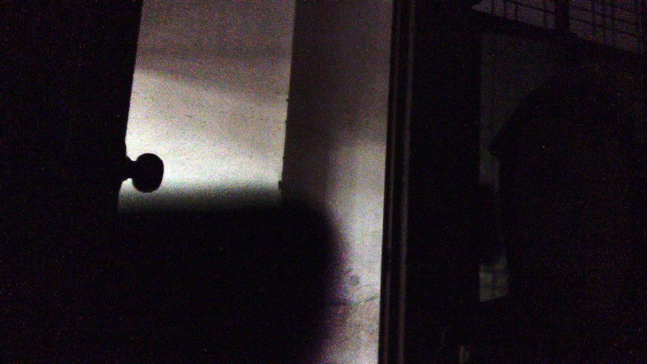 black light
