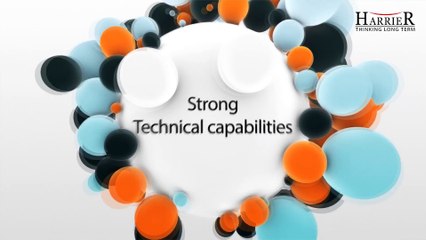 An Introduction to Harrier Information Systems