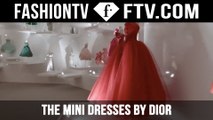 Les Journées Particulières  - The Mini Dresses by Dior | FTV.com