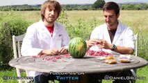 Bandes de caoutchouc vs Watermelon : The Slow Mo Guys !