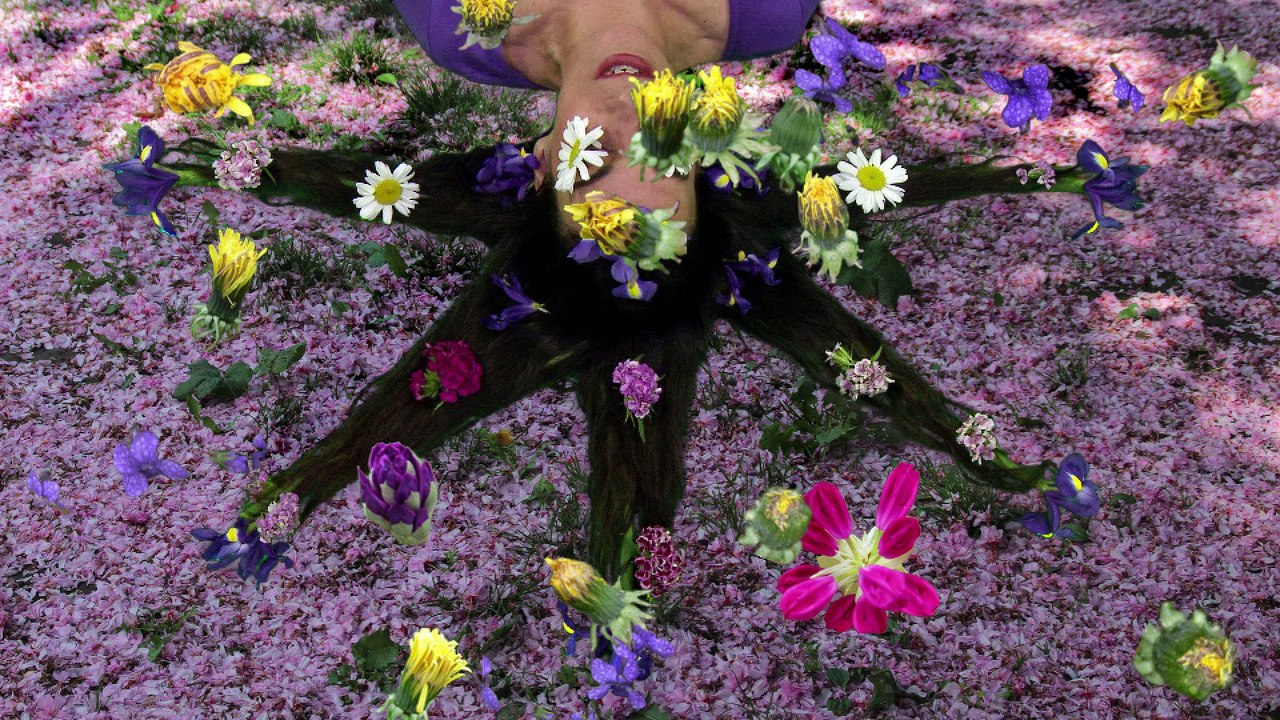 Eva Kyselka 'Bienenkoenigin'