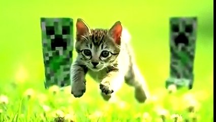 Game Theory: What ARE Minecraft Creepers?!?
