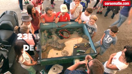 La 23e fête de la mer en Corse