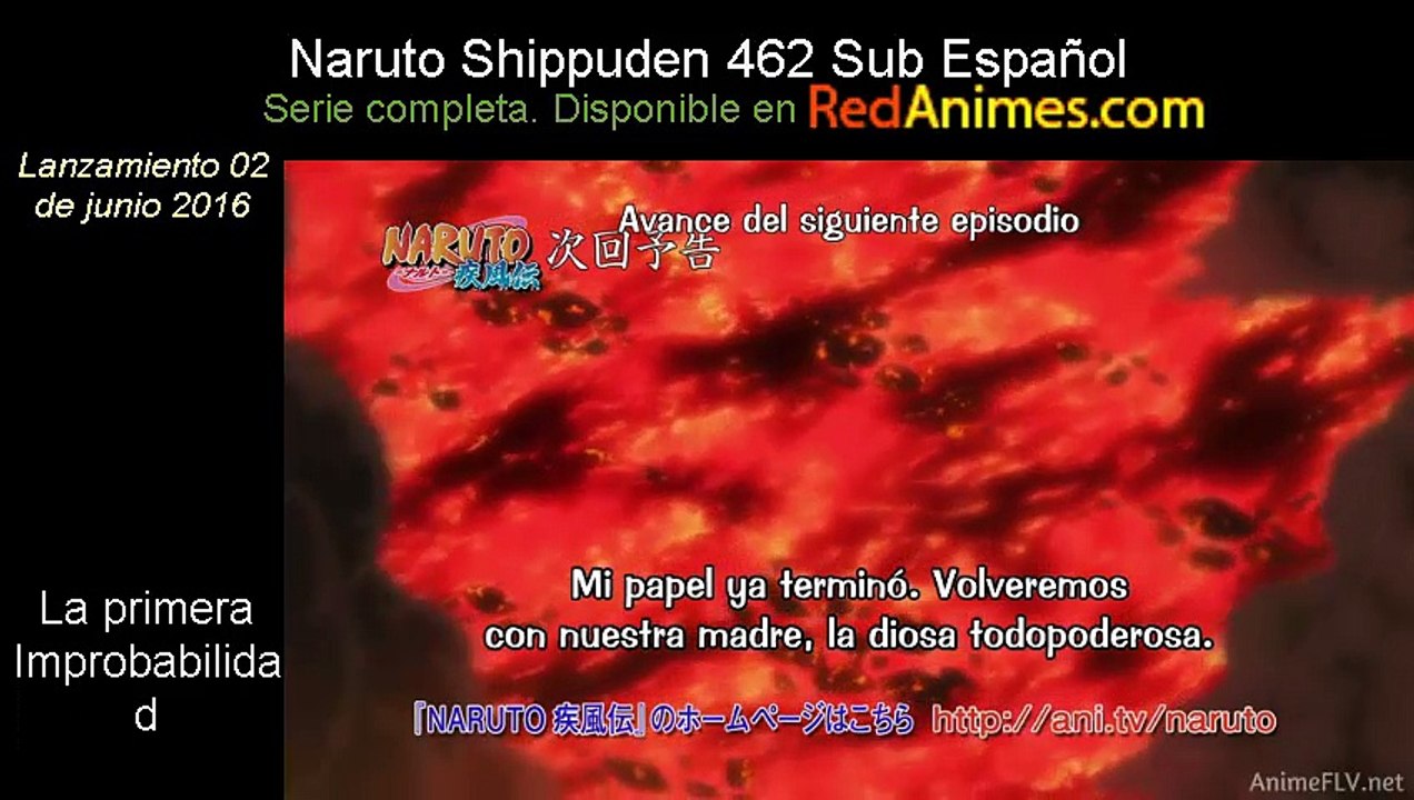 Avances 463 ns