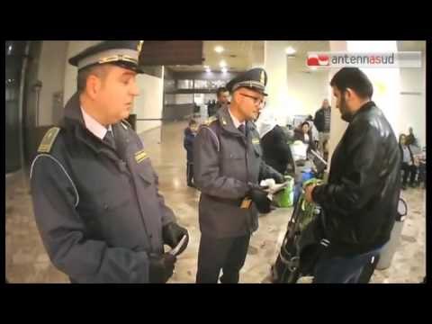 Tg Antenna Sud - La Procura impugna la scarcerazione dell'afghano