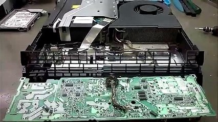 Un serpent retrouvé mort dans une playstation 4