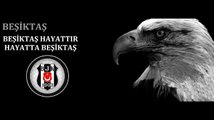 Beşiktaş Hayattır , Hayatta Beşiktaş (Beşiktaş)