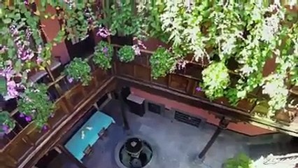 OMG:Awesome bicycle stunt on roof,walls and pols: ever seen