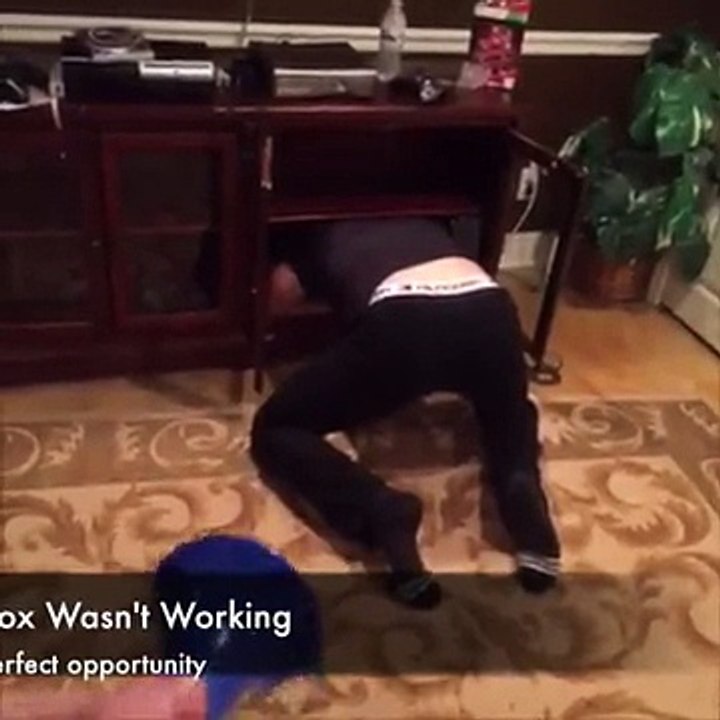 Horn battles and scaring with horn,Lance Stewart Vine