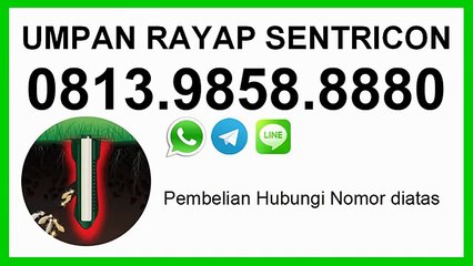 Jual Umpan Rayap Sentricon, Harga Umpan Rayap Sentricon