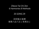 Ziboce 6 Harmonies 8 Methods (ZE Gong)29 邵保勝寫意六合八法拳狸貓撲蝶(希夷功）