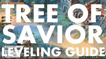 Tree of savior ,Casual Leveling Guide 1 - 50 :  Ep1 EAST SIAULIAI WOODS