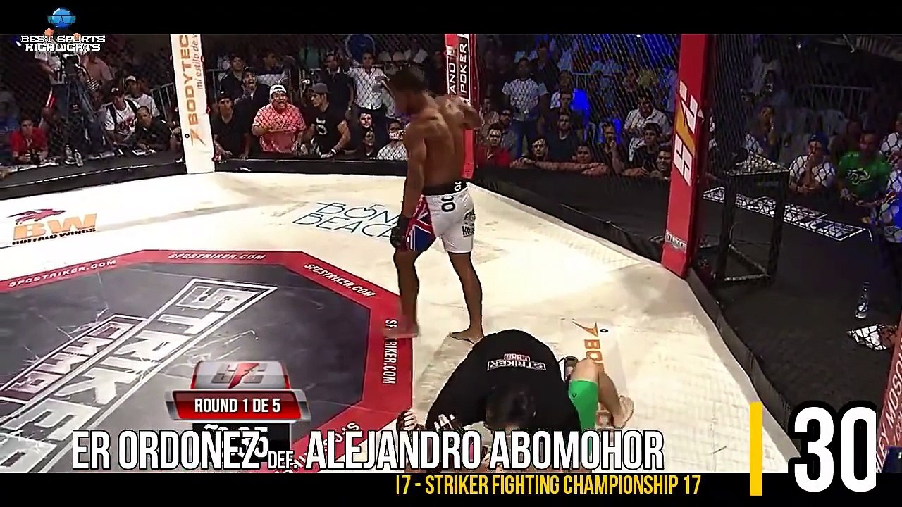 TOP 30 MMA Knockouts 2015