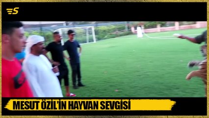 Mesut Özil'in hayvan sevgisi