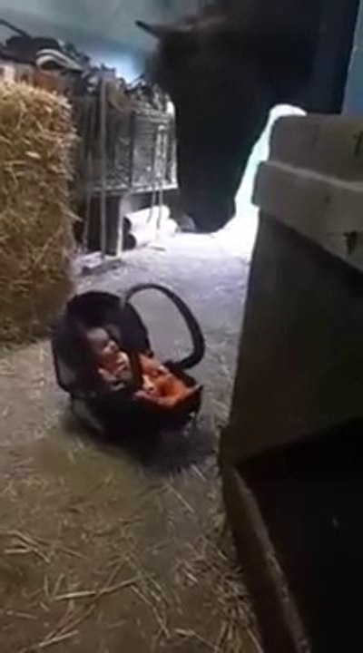 chouète!!