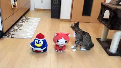 【funny cat ねこ&きじとら＆かわいい&おもしろ&癒し】（とらおうチャン）みんな仲良しやねん♪