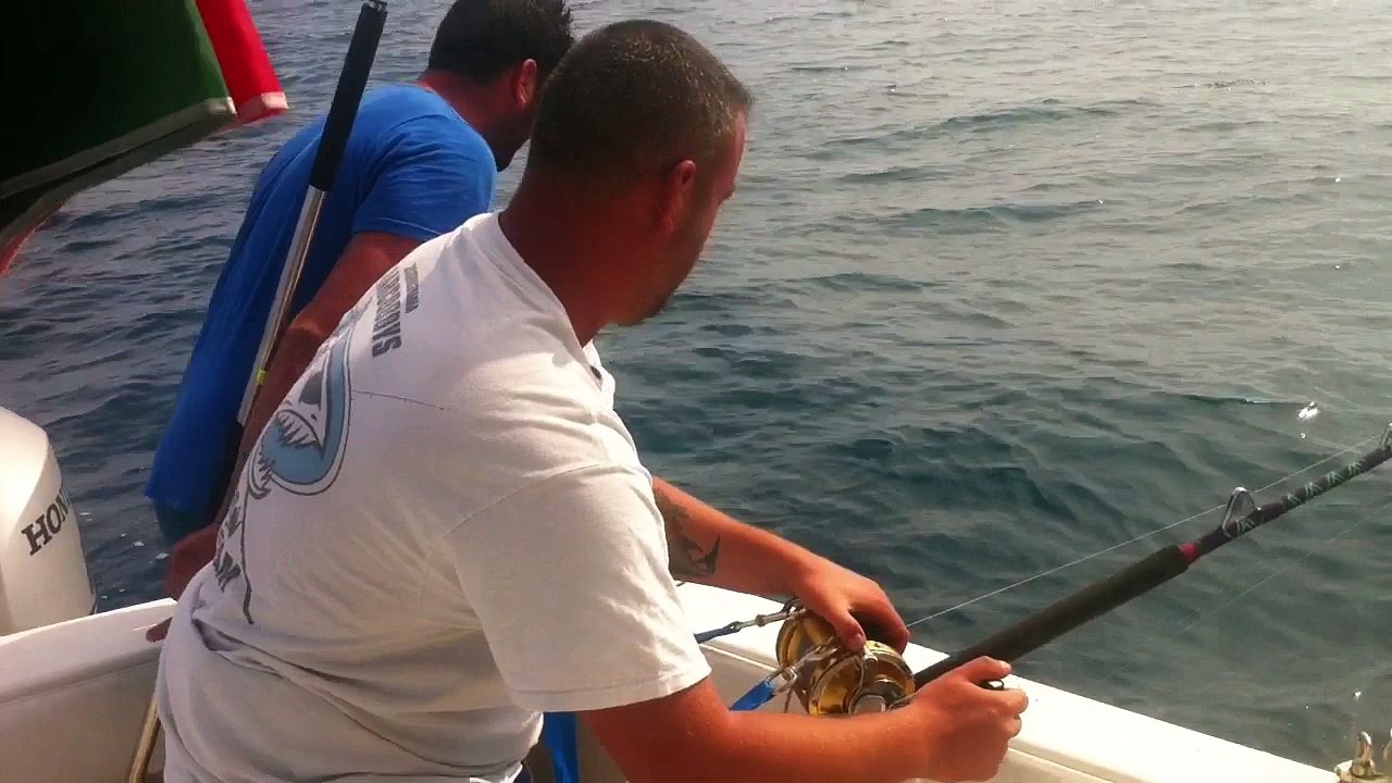Tuna