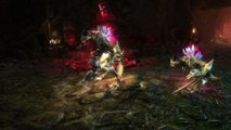 A Hero´s Guide to Amalur -  Factions and Fae