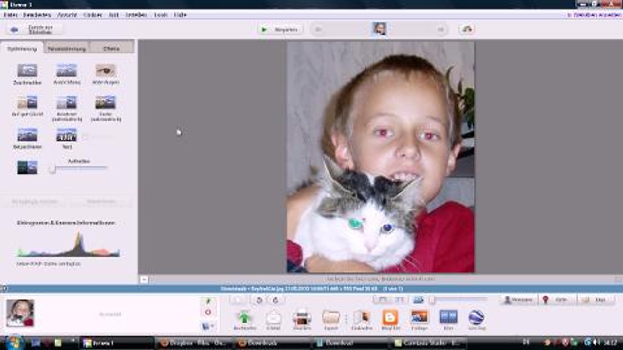 Picasa-Video: Rote Augen entfernen