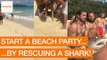 Party-Goers Rescue Distressed Shark at Beach