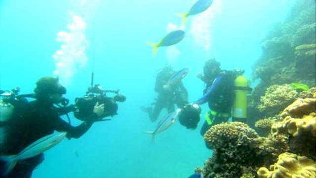 Explorez les océans avec Google Maps