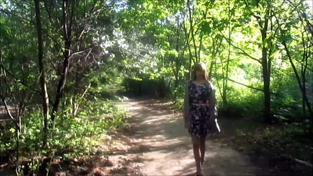 Пьяное СОЛНЦЕ ( клип на песню Н.Алексеева)