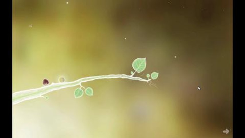 Botanicula Review EN