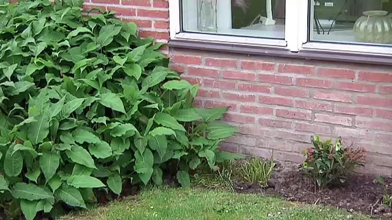 De een zegt dit en het rapport zegt dat - RTV Noord