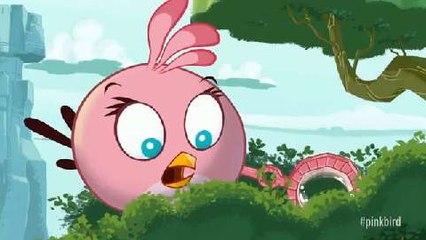 Pink Bird, le nouvel oiseau d'Angry Birds Seasons