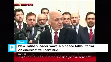 Afghan Taliban leader only wants 'terror on enemies' to continue