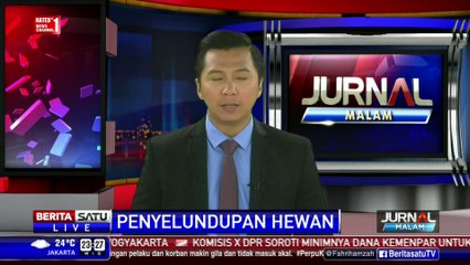 Penyelundupan Ratusan Hewan Ilegal Terbongkar