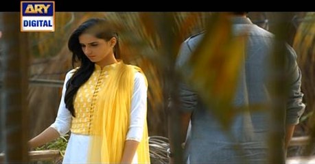 Tum Yaad Aaye Episode 17 on Ary Digital in High Quality 26th May 2016