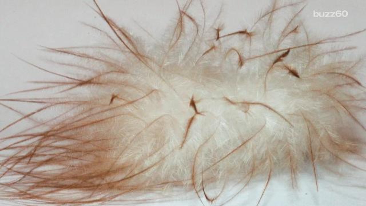 The Harsh Reality Behind Soft Pillows