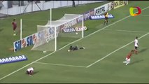 Paulistão 2014 - Gols - Portuguesa 1 x 2 Botafogo SP - 29/01/2014 - 4º Rodada #5