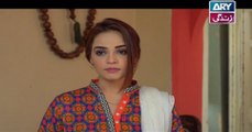 Manzil Kahe Nahi - Ep - 120 on Ary Zindagi in High Quality 26th May 2016